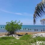 listing image thumbnail with ID 58001