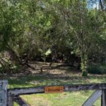 listing image thumbnail with ID 56929