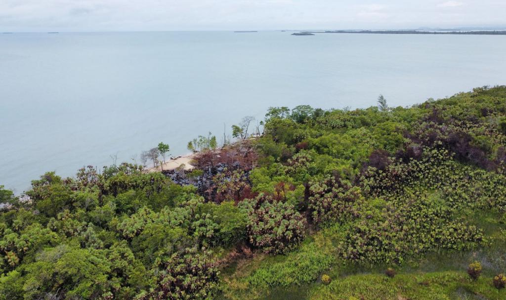 listing image with ID 56917