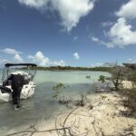 listing image thumbnail with ID 58121