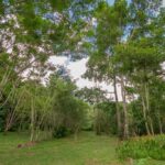 listing image thumbnail with ID 56805