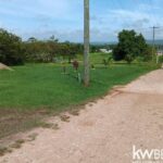 listing image thumbnail with ID 57973