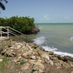 listing image thumbnail with ID 57493