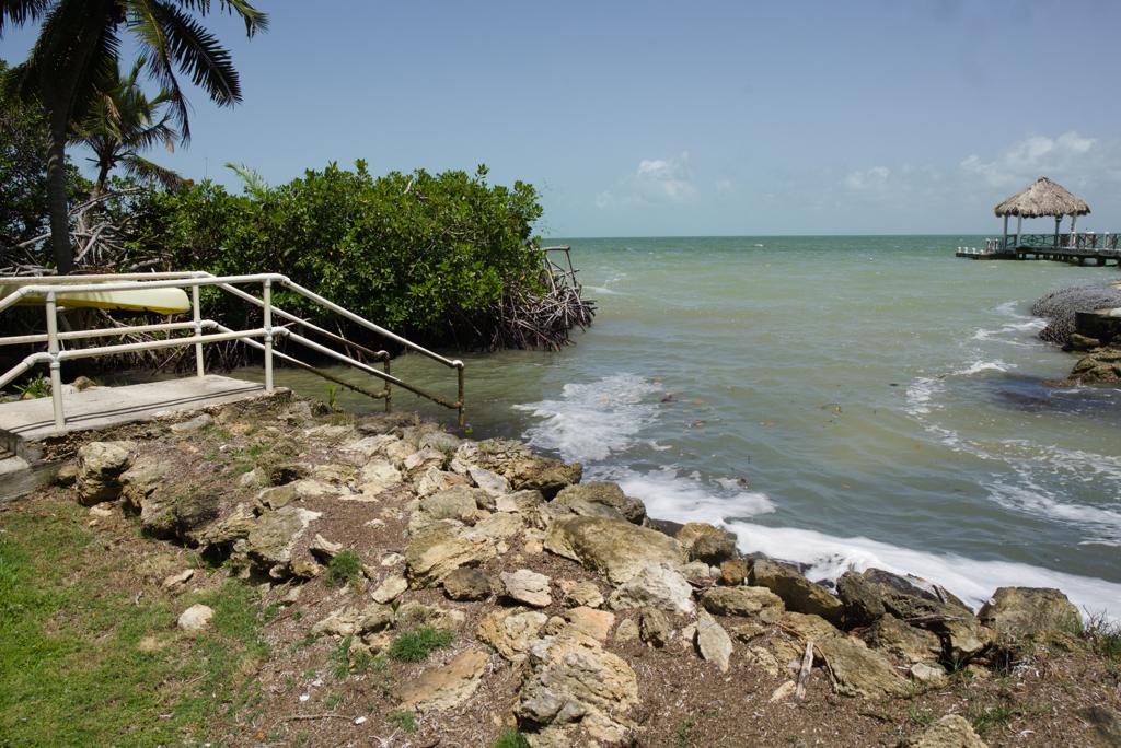 listing image with ID 57493
