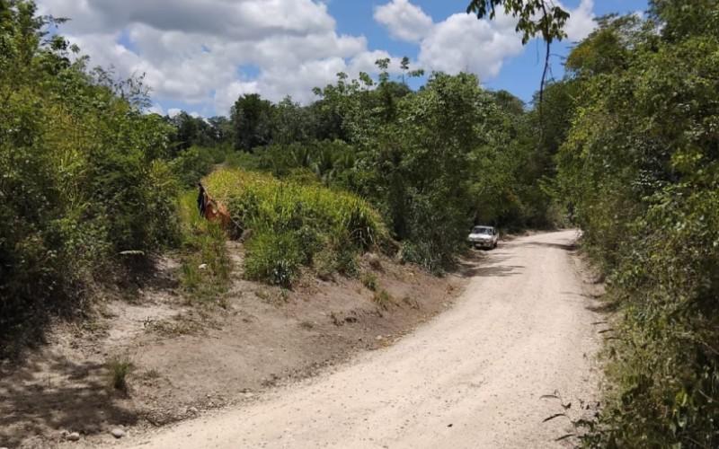 listing image with ID 58083