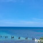 listing image thumbnail with ID 57988