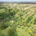 listing image thumbnail with ID 57424