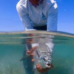 listing image thumbnail with ID 58205