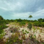 listing image thumbnail with ID 57403