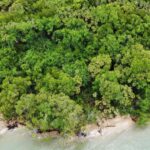 listing image thumbnail with ID 56921