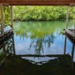 listing image thumbnail with ID 56767