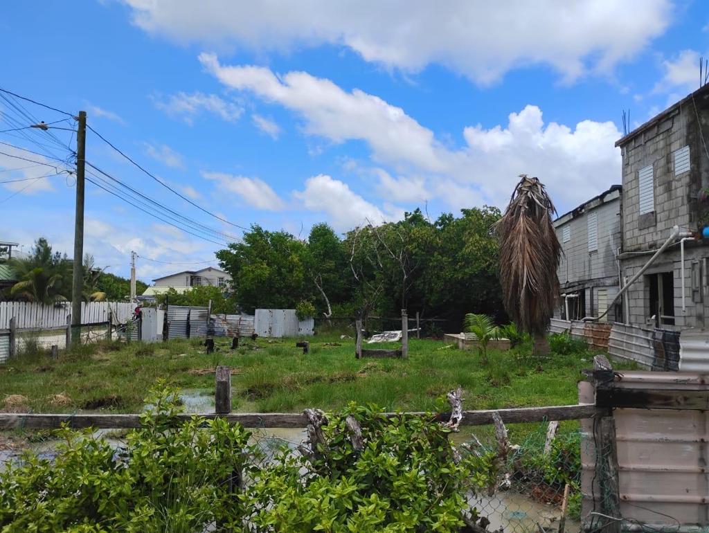 listing image with ID 57300