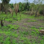 listing image thumbnail with ID 57450