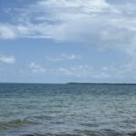 listing image thumbnail with ID 57008