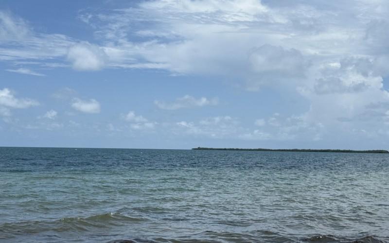 listing image with ID 57008