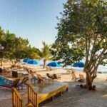 listing image thumbnail with ID 57802