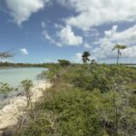 listing image thumbnail with ID 58055