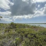 listing image thumbnail with ID 58057