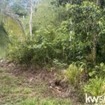 listing image thumbnail with ID 58082