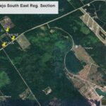 listing image thumbnail with ID 56779