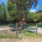 listing image thumbnail with ID 56932