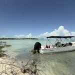 listing image thumbnail with ID 57904