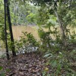 listing image thumbnail with ID 57657