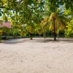 listing image thumbnail with ID 56771