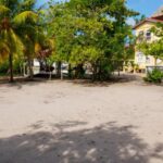 listing image thumbnail with ID 56768