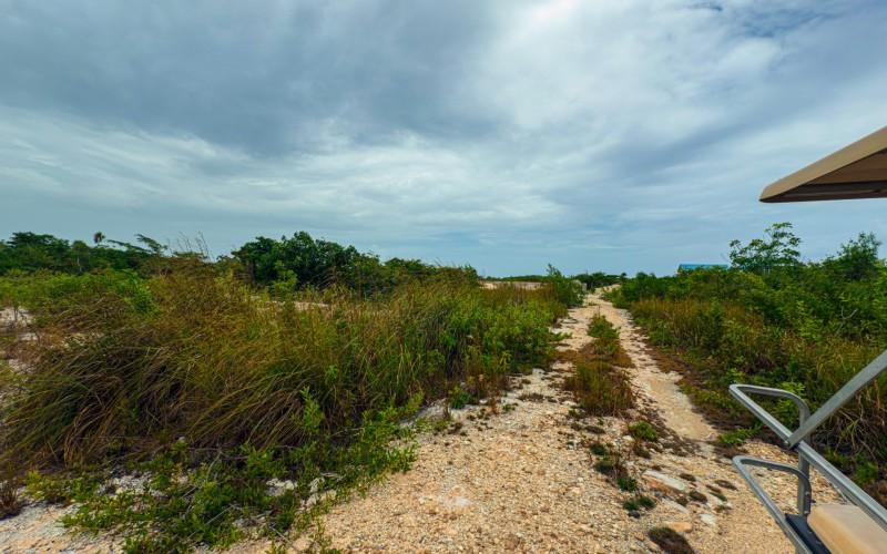 listing image with ID 57399