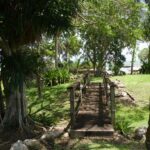 listing image thumbnail with ID 57492