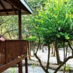 listing image thumbnail with ID 57806