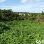 listing image thumbnail with ID 57978