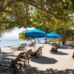 listing image thumbnail with ID 57801