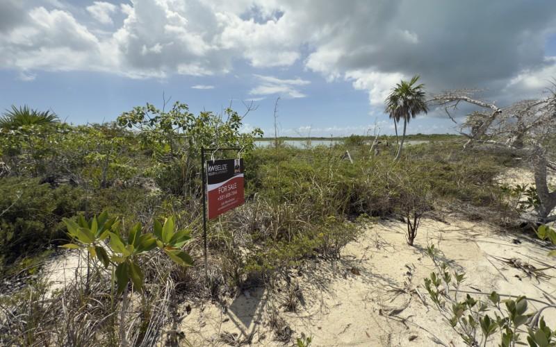 listing image with ID 58110