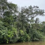 listing image thumbnail with ID 57659