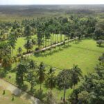 listing image thumbnail with ID 57419