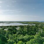 listing image thumbnail with ID 57265