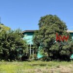 listing image thumbnail with ID 57083