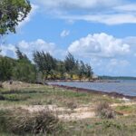 listing image thumbnail with ID 58244