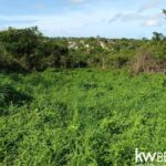 listing image thumbnail with ID 57974