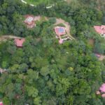 listing image thumbnail with ID 56800