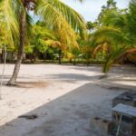 listing image thumbnail with ID 56766