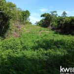 listing image thumbnail with ID 57977