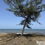 listing image thumbnail with ID 57013