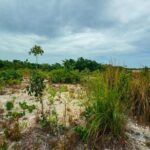 listing image thumbnail with ID 57402