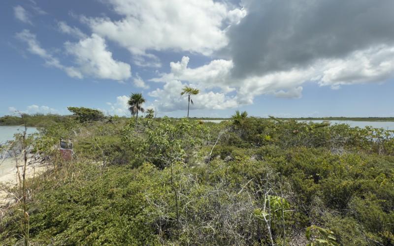 listing image with ID 58056