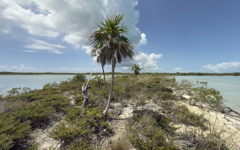 listing image with ID 58111
