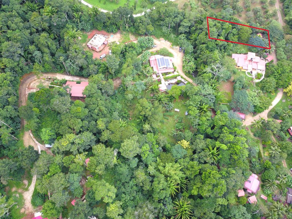 listing image with ID 56823