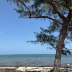 listing image thumbnail with ID 57007